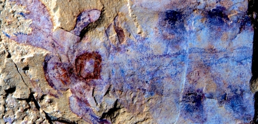 Zkamenělina podivného zvířete starého 520 milionů let.