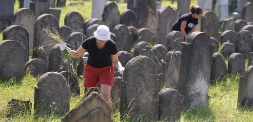 V rámci festivalu Týden židovské kultury 2012 návštěvníci čistili tamní židovský hřbitov.