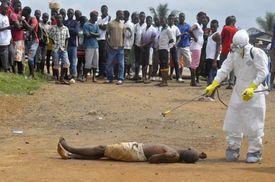 V Libérii a Guineji na ebolu zemřelo už 1800 osob.