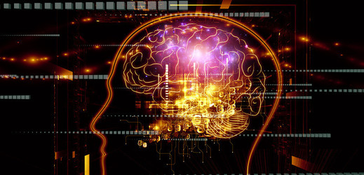 Mozek se podobá počítači, moc počítačů mu ale škodí.