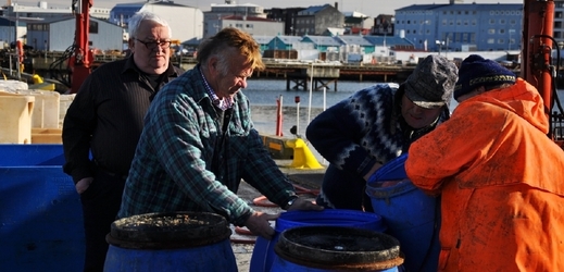 Islandští rybaři v docích Reykjavíku (ilustrační foto).