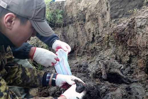 Pes byl nalezen v bahnitém permafrostu necelé dva metry hluboko.