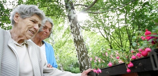 Mnoho starších lidí trápí zejména nevyléčitelná Alzheimerova choroba.
