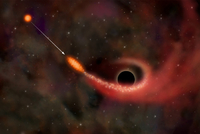 Vizualizace pohlcení hvězdy černou dírou. 