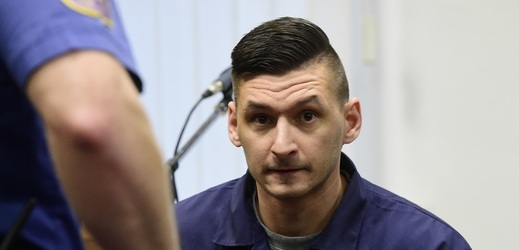 Žondra odsouzený za napadení Kvitové podal ústavní stížnost.